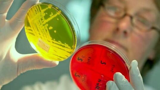 Vyšetřování testů na detekci parazitů v lidském těle
